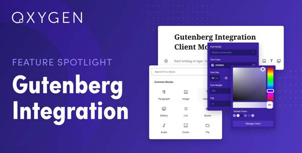 Oxygen Gutenberg Integration