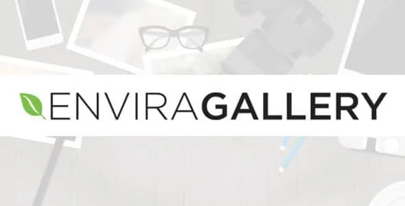 Envira Gallery Downloads Addon